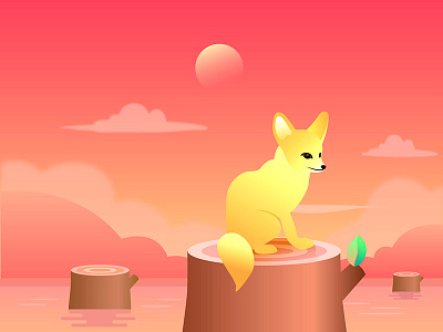 sunset fox sunset