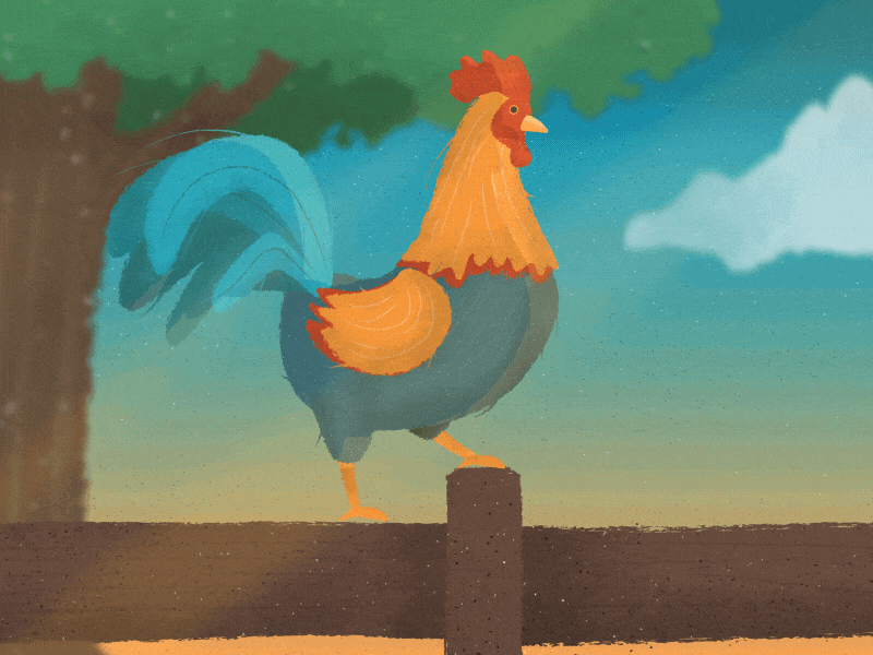 Rooster Crowing after effects animal chicken duik gif morning nature rooster rubber hose