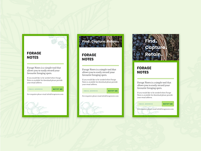 Responsive mobile screen app experiment experiments forage green mobile phone resize responsive