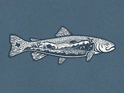 Hillcountry Trout austin fish flyfish hillcountry outdoors rivers texas trout
