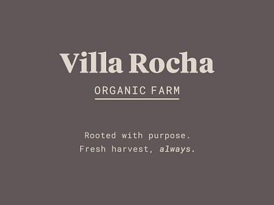 Villa Rocha identity lockup logo