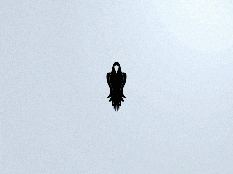 Hello Dribbble! animation design first logo new shot studio