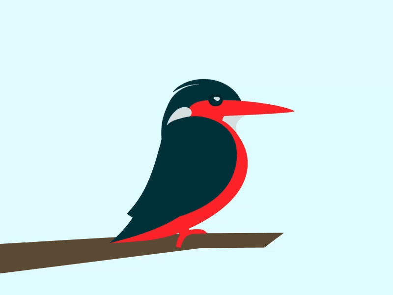 Feather Ruffle animal animation bird feather king fisher kingfisher nature