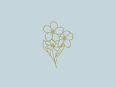 Forget Me Not branding flowers identity illustration