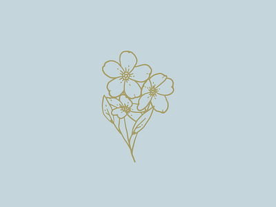 Forget Me Not branding flowers identity illustration