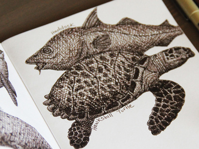 Sketchbook doodle draw fish haddock hawksbill turtle micron sepia sketchbook the sketchbook project turtle