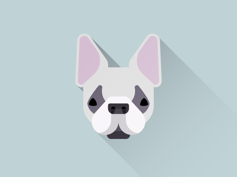 Example of French bulldog iocn