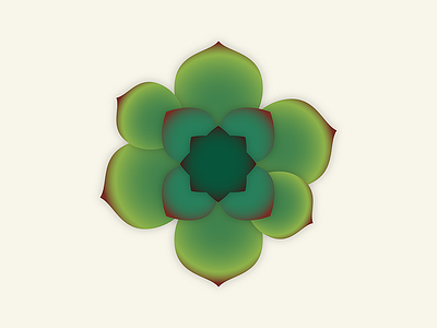 Succulent flora flower gradient icon illustration succulent