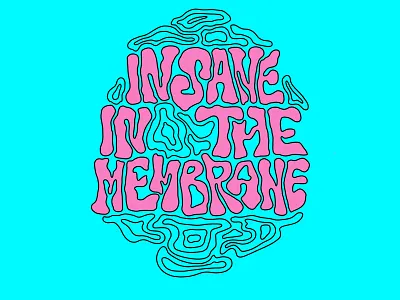 Insane In The Membrane illustration lettering music type illustration typography