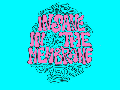 Insane In The Membrane illustration lettering music type illustration typography