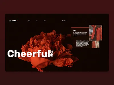 Fashion Brand Concept branding concept fashion landing page mockup page