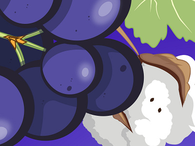 Grapes Cotton