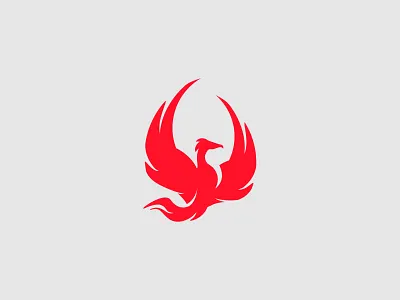 Fenix animal bird eagle falcon fenix fire flame red resurrection