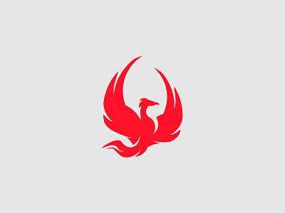 Fenix animal bird eagle falcon fenix fire flame red resurrection