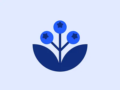 Blueberry Clothing Co. apparel blueberry brand branding clothing identity logo