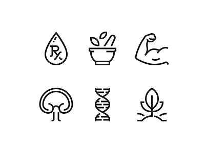 Healthy food icons arm dna drop food icon leaf mushroom nature pharmacy vector