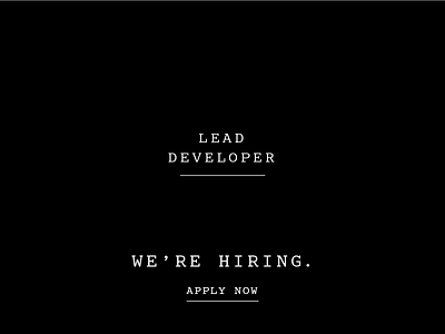 Lead Developer agency branding charleston design developer hiring job programmer ui ux web web development