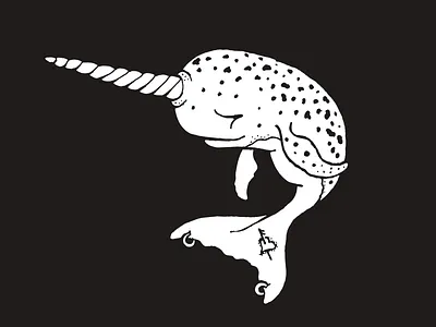 Narwhal illustration narwhal