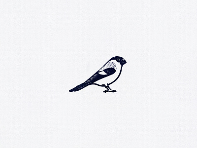 Bullfinch animal bird bullfinch engraving etch logo