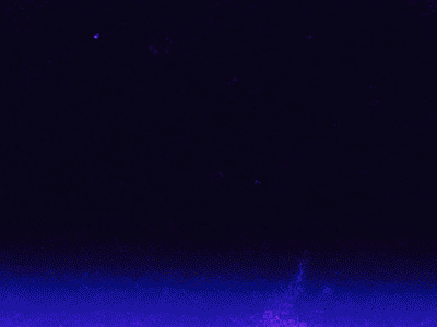 Hello Dribble Fpgraphic Debut 2d animation ae after effects animated drawing animated gifs debut first shot fpgraphic francesca pulvirenti gif loop motion graphics