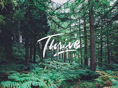 Thrive brand branding brush hand lettering lettering pen typography