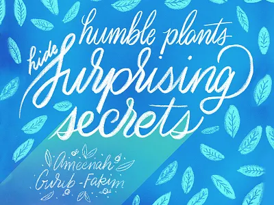 Ameenah Gurib-Fakim calligraphy handlettering handwritting lettering plants script secrets type typography