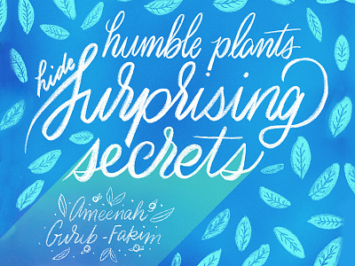Ameenah Gurib-Fakim calligraphy handlettering handwritting lettering plants script secrets type typography