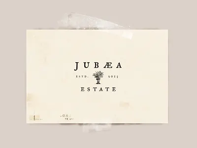 Jubaea Estate Brand Identity brand branding elegant emblem estate illustration logo natural olive oil packaging palm tree vineyard