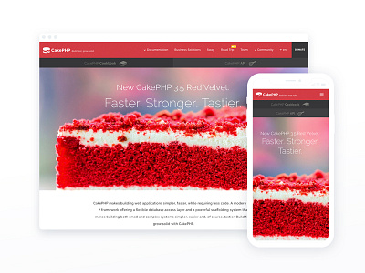 CakePHP Website blog branding cakephp design php ui webdesign website