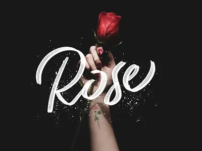 Rose. brush calligraphy handlettering lettering pen photography script