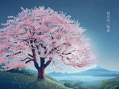 Sakura illustration illustration sakura