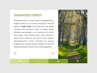 Famous forests design interface share social user web