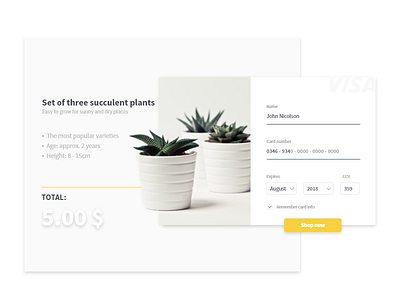 Daily UI #002 - checkout card credit dailyui flat plant shopping succulent ui ux visa