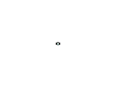 Nikon camera favicon nikon web