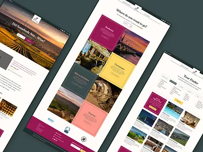 Wine tour website page design branding tour ui website wine