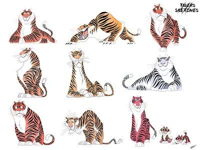 TIGERS SKETCHES animal animals charcter concept design exotic illustration olivier silven sketch tiger