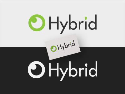 Logo Design - Hybrid adobe illustrator logo design