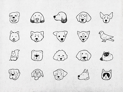 Hand draw icons cat drawing hand draw icon line pigeon