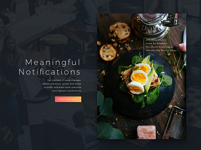 Agnoris Main Page Deatil breakfast dark data eggs ui