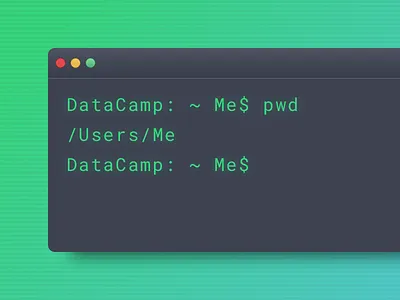 Shell Interface cli command line datacamp shell