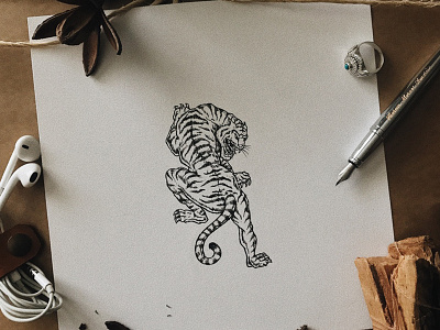 Ink Tiger animal draw hachure illustration ink pen