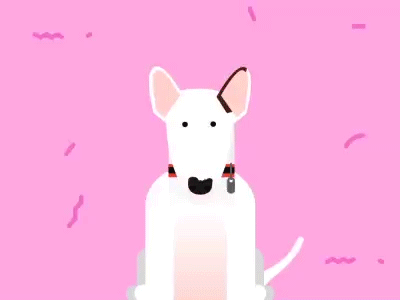 Fiona bull bullterrier dogs puppy