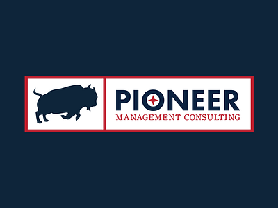 Pioneer Management Consulting buffalo bull charging fronteir patriotic west wild