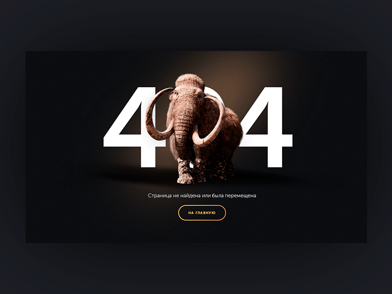 404 page