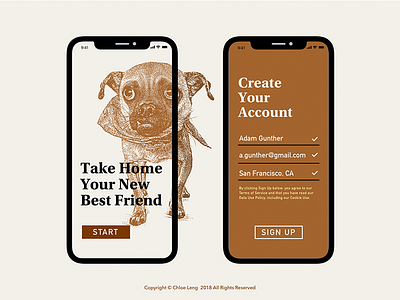 Subscription dailyui onboarding pets ui visual design