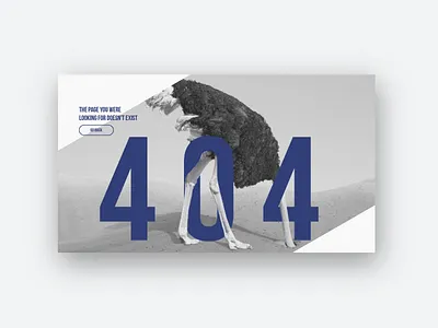 Daily UI Challenge #008: 404 Page 100 day ui challenge 404 404 page daily ui ostrich ui ux web