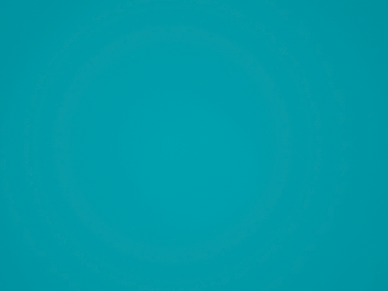 Scout Logos Animation boston design scout