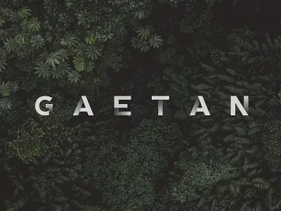 Shot003 - Playing with type artwork design designer jungle letter lettering name nature title type typeface typography