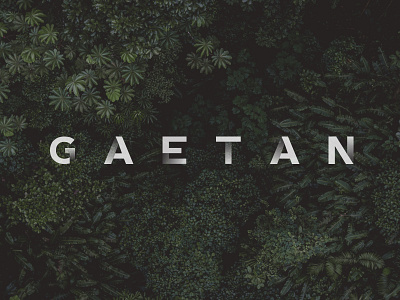 Shot003 - Playing with type artwork design designer jungle letter lettering name nature title type typeface typography