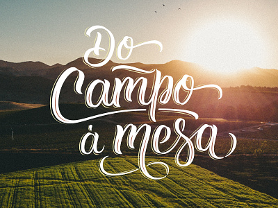 Do Campo à Mesa caligrafia calligraphy custom type handlettering lettering type